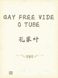 GAY FREE VIDEO TUBE